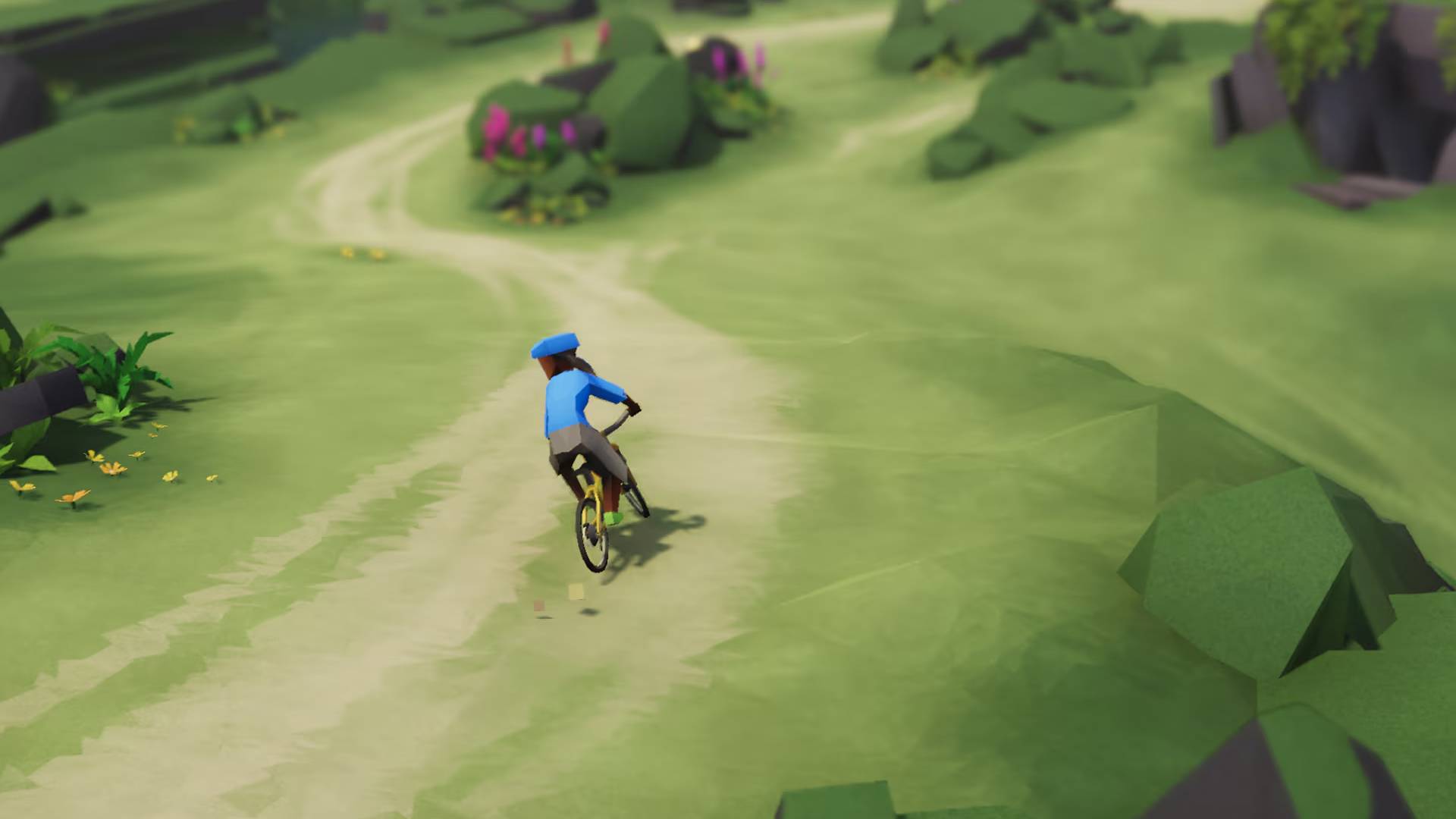 Special biking zones